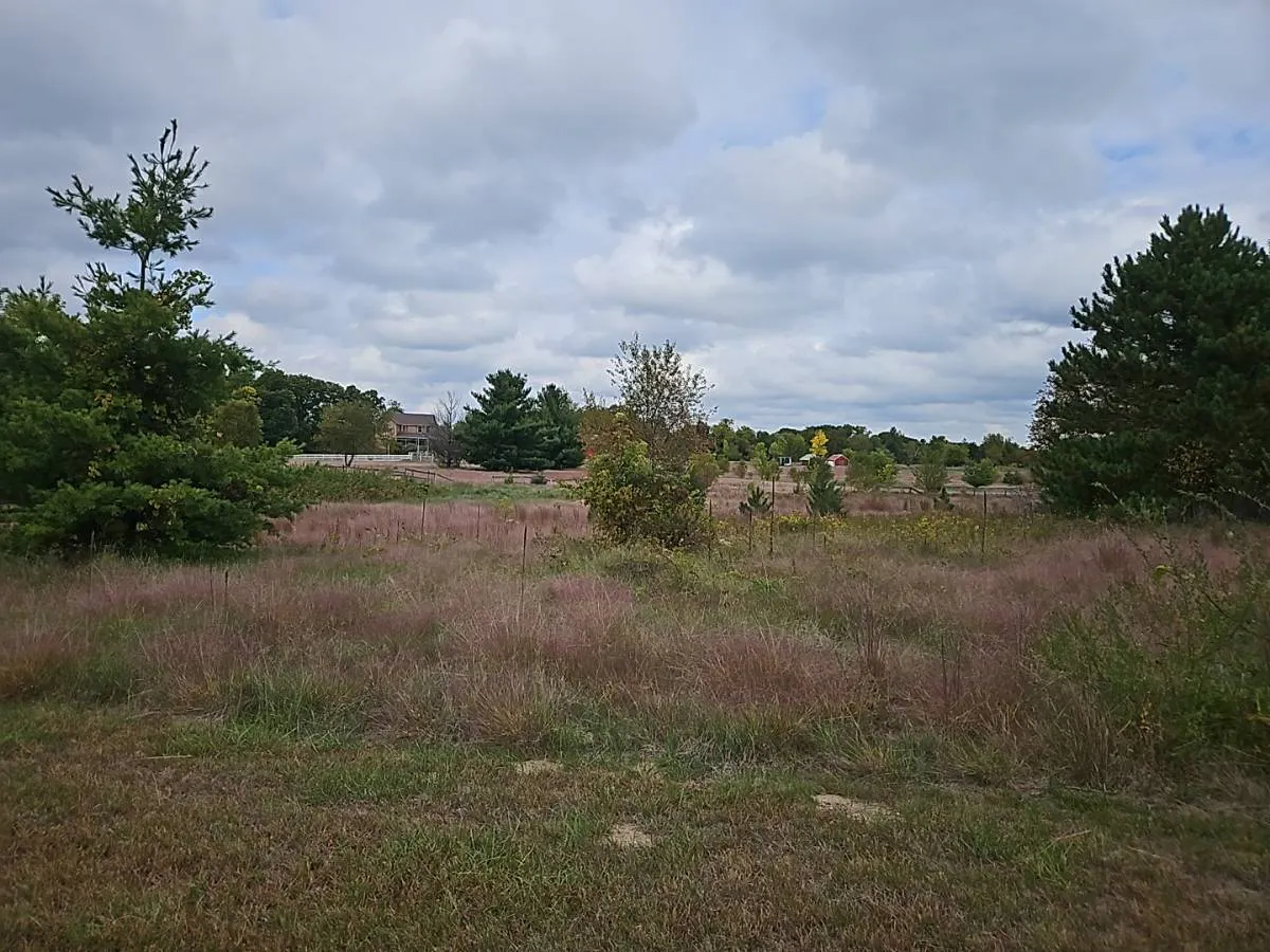 Xenon Dr, Princeton, MN 55371 #1