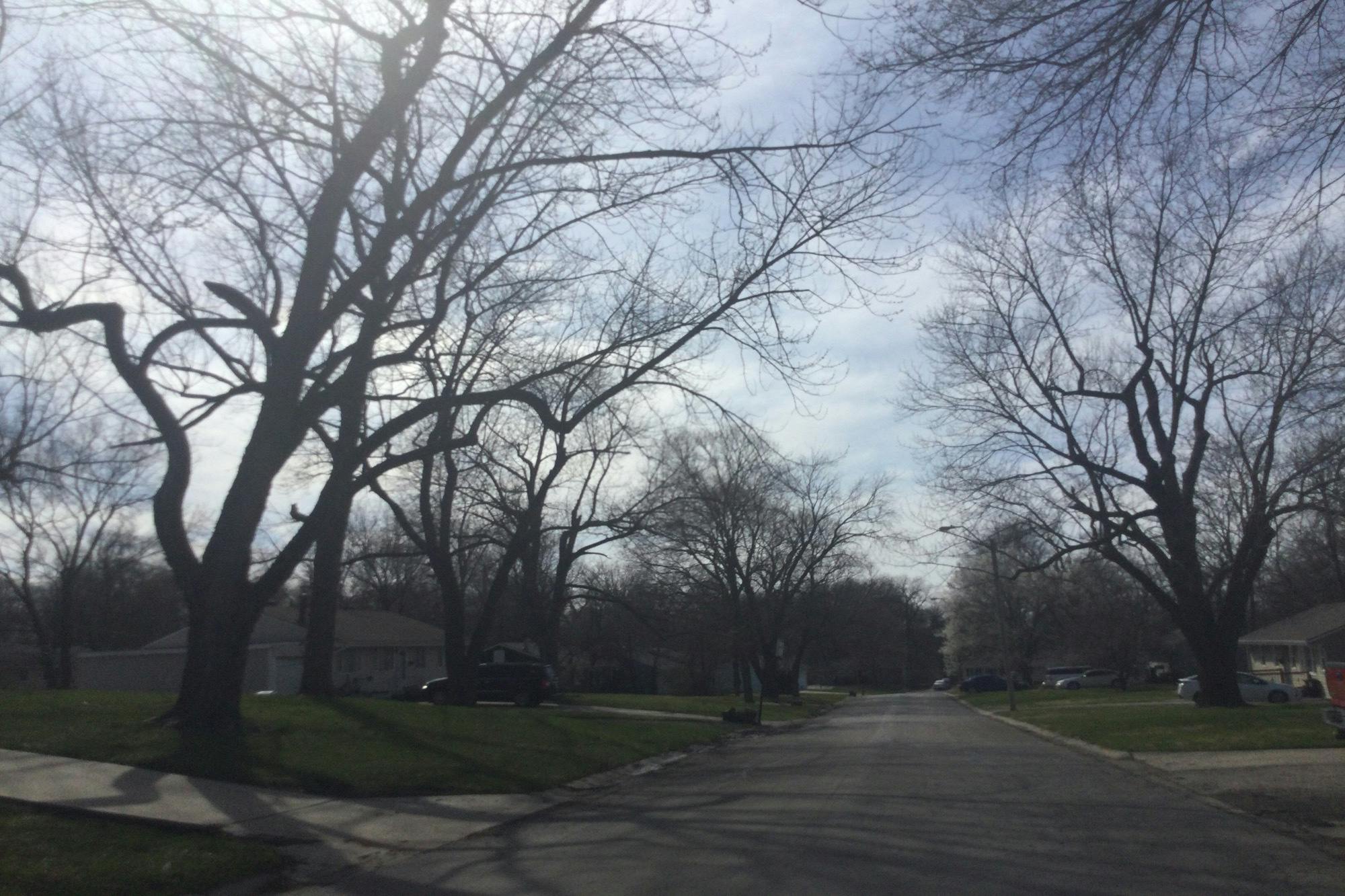 Sterling Ave, Raytown, MO 64133