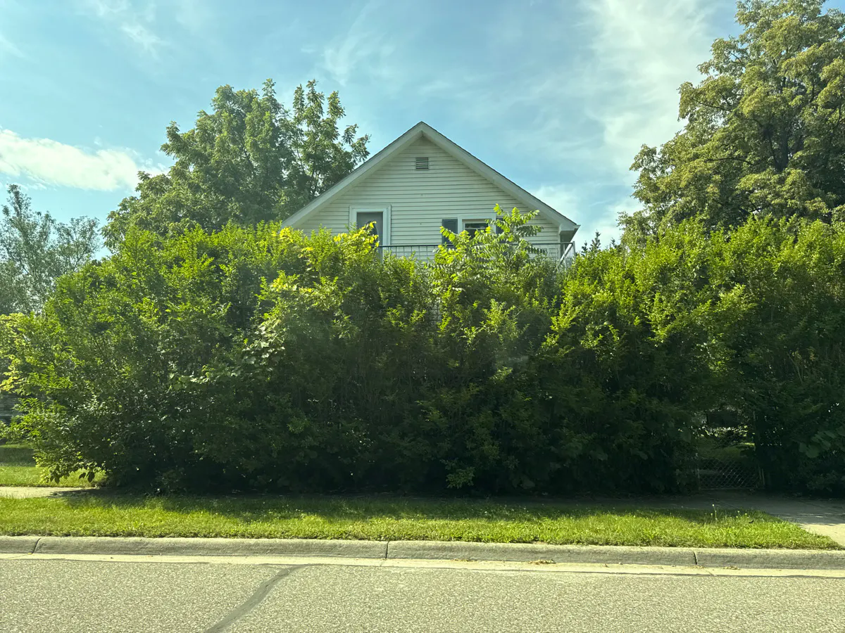 Bruce St, Marine City, MI 48039 #1