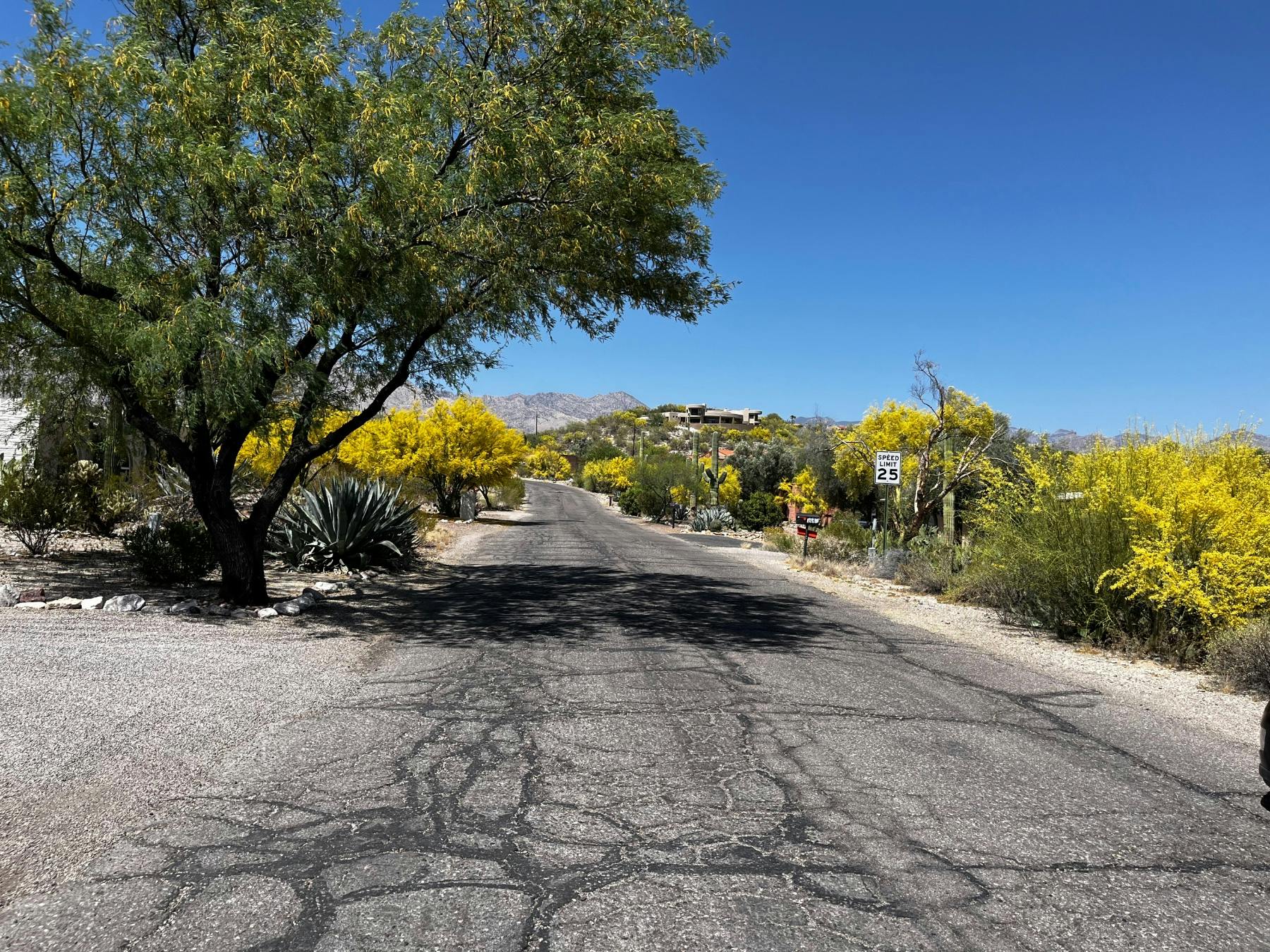 Four Winds Dr, Tucson, AZ 85750 #1