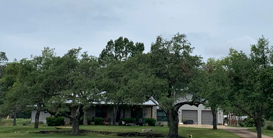 16004 Arbor Trail Buda, TX 78610, Hays County