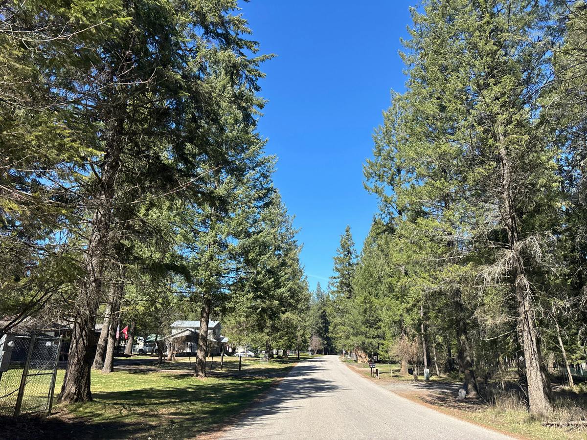 Deer Lake Rd, Loon Lake, WA 99148