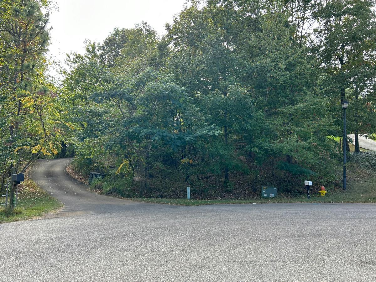 Chestnut Ln, Helena, AL 35080 #1