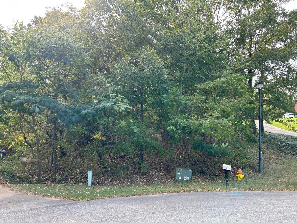 Chestnut Ln, Helena, AL 35080