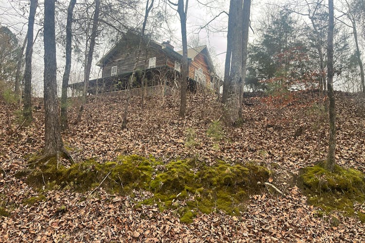 978 Manchester Dr Guntersville, AL 35976, Marshall County