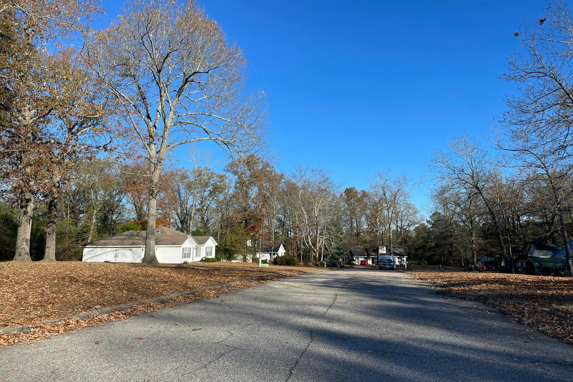 Paddock Ln, Jackson, SC 29831 #1