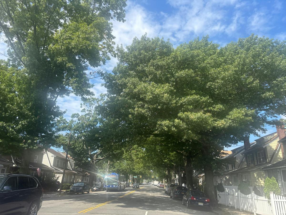 Springfield Blvd, Queens Village, NY 11428