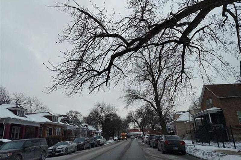 Woodlawn Ave, Chicago, IL 60619 #1