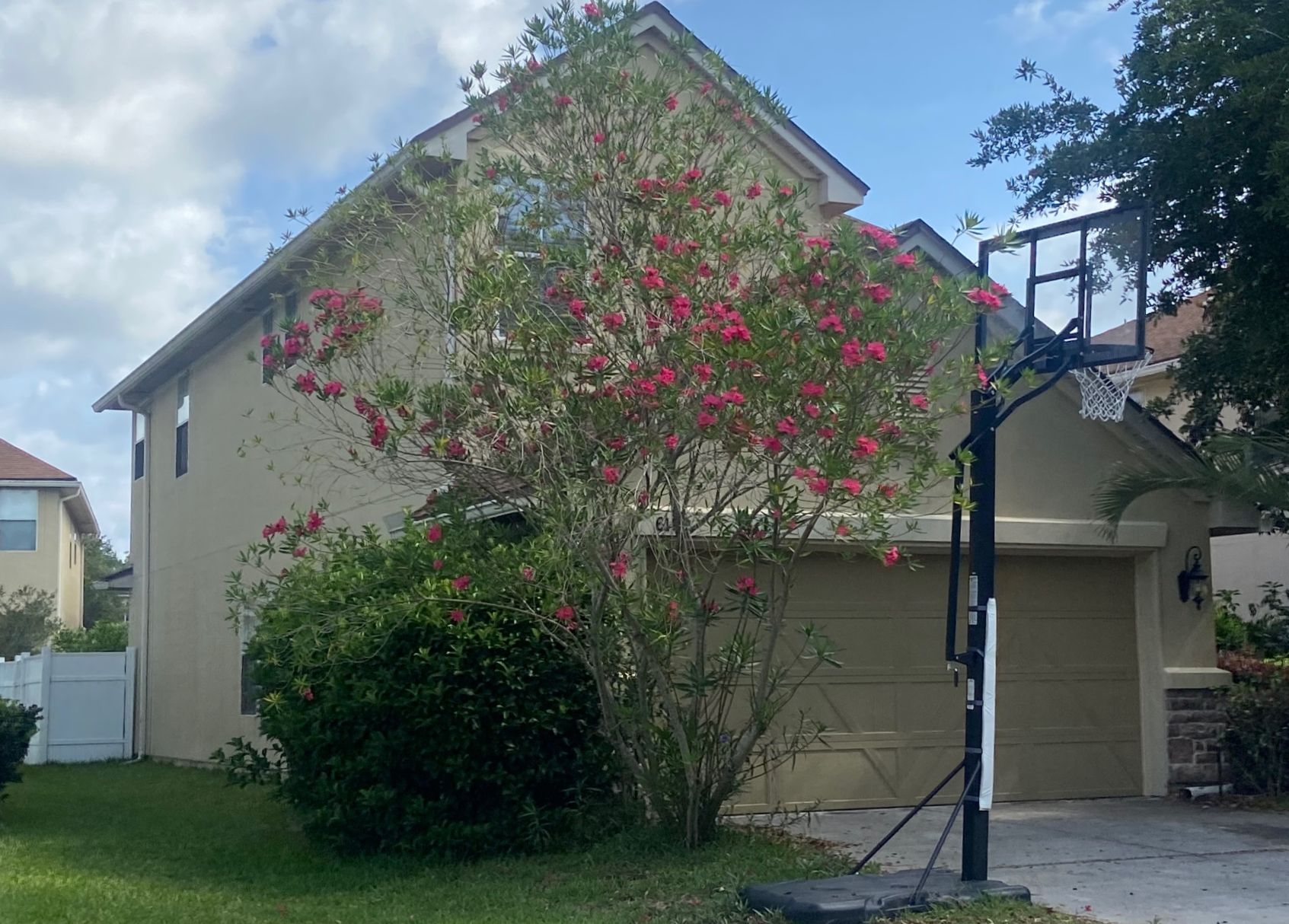 6189 Casterbridge Rd photo 4