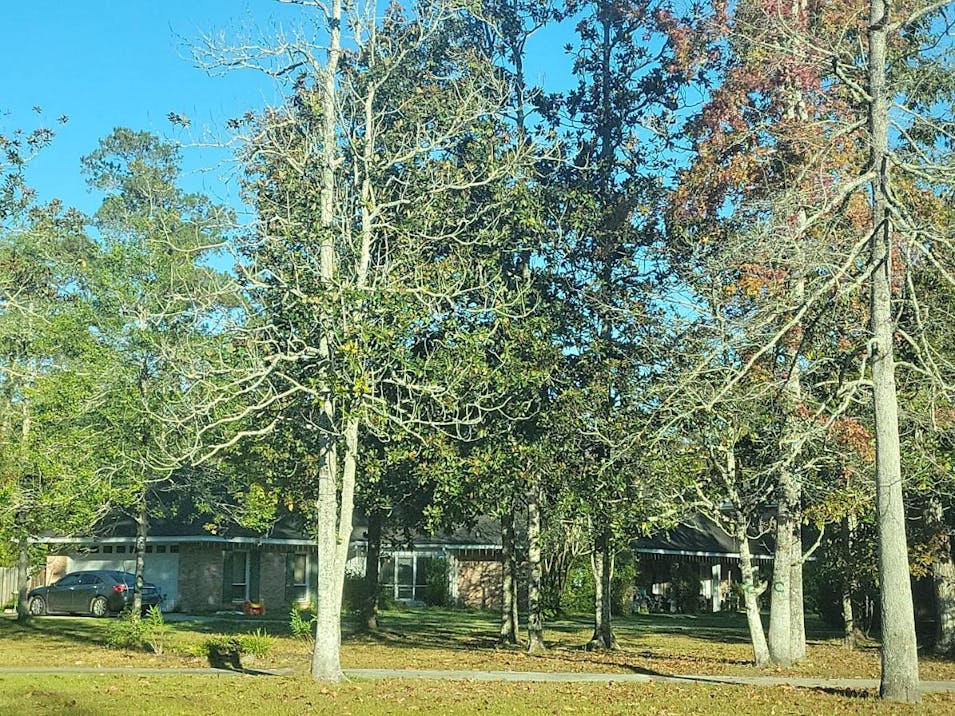 716 Ashland Dr Pearl River, LA 70452, St Tammany County