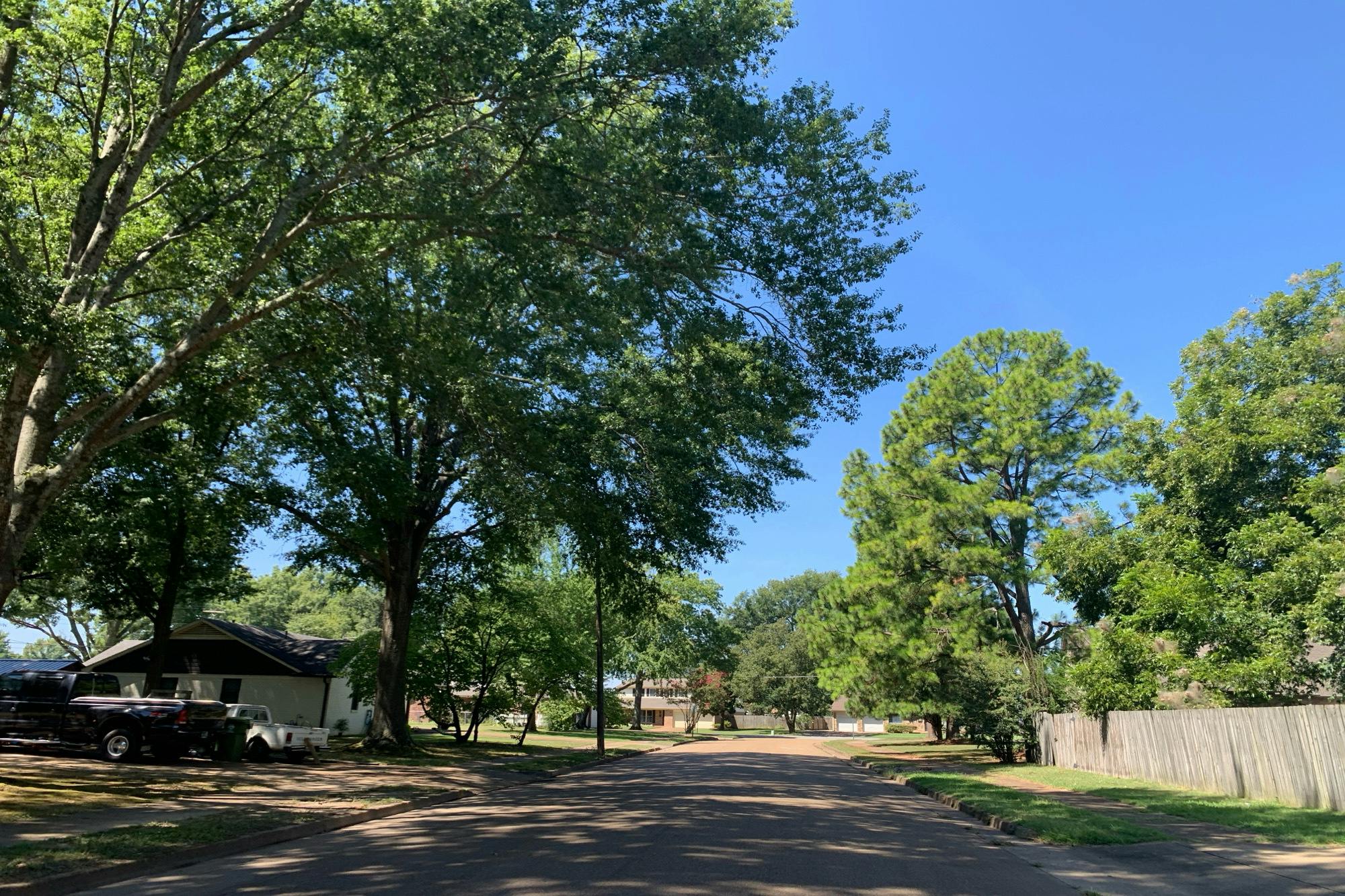 Laraine Dr, Millington, TN 38053 #1
