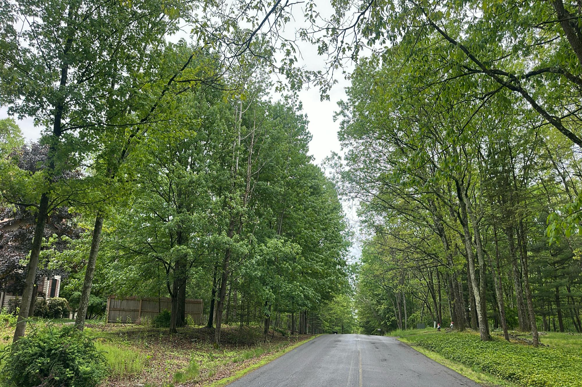 Deer Trail Dr, Saylorsburg, PA 18353