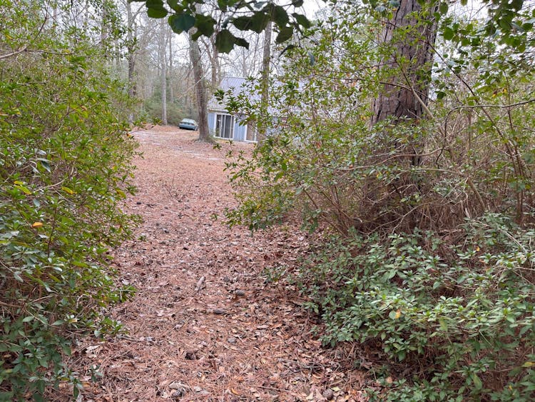 245 Spivey Rd, Tabor City, NC, 28463, USA