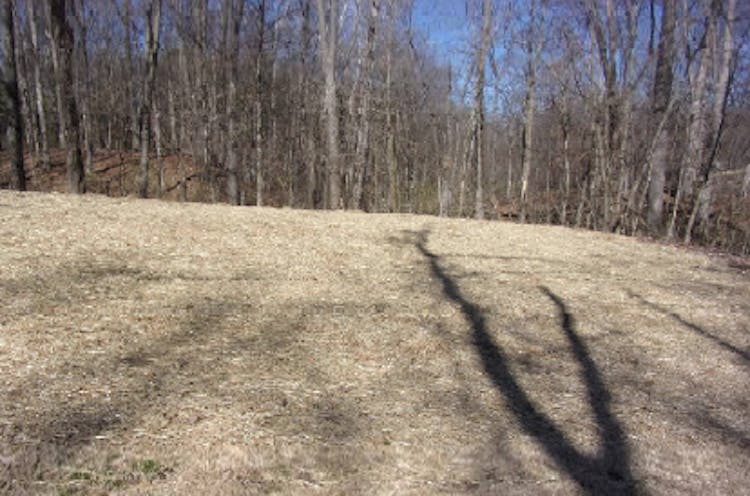 2590 N Woodvale St Terre Haute, IN 47803, Vigo County