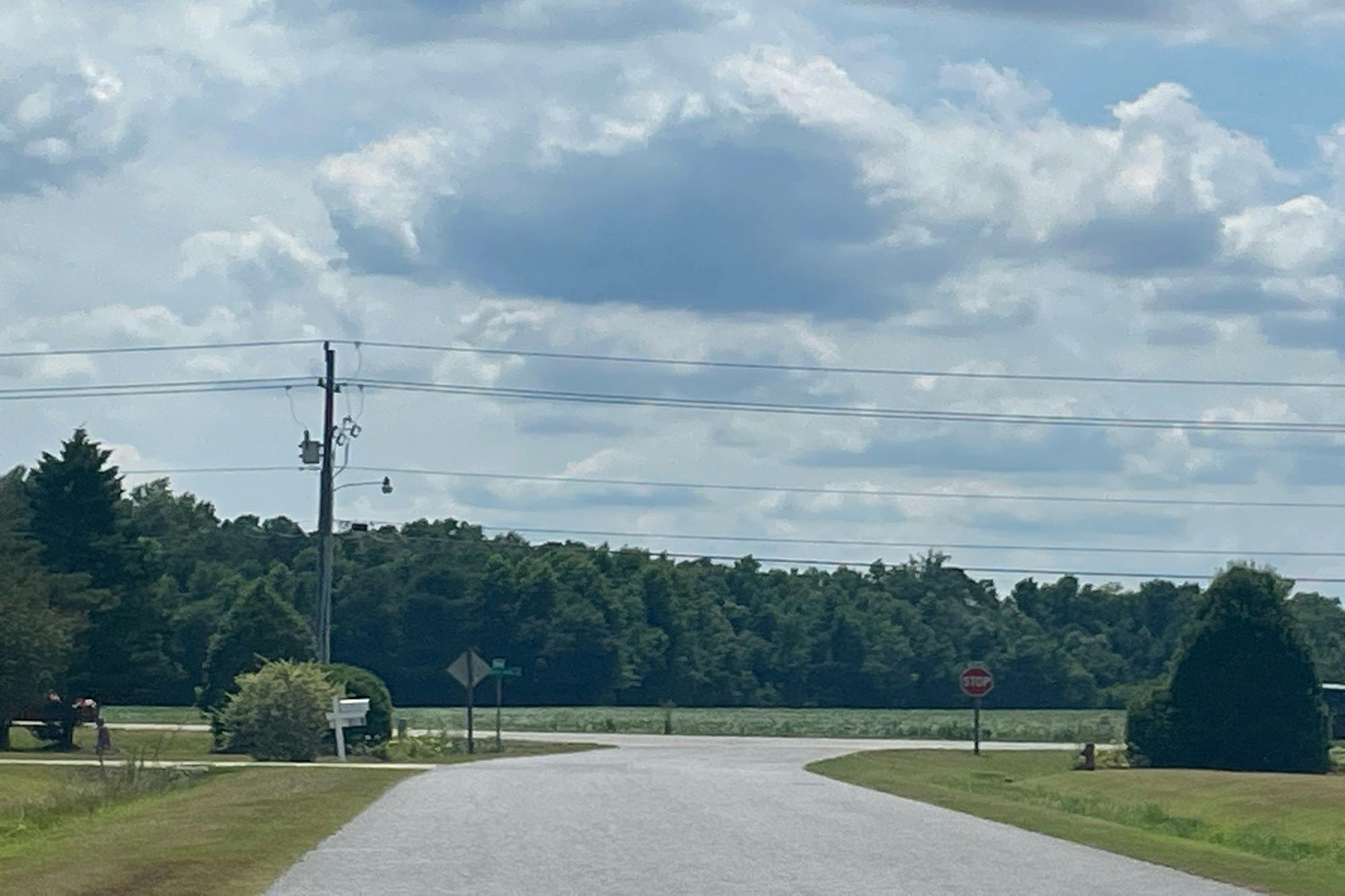 Worthington Ln, Greenville, NC 27858 #1
