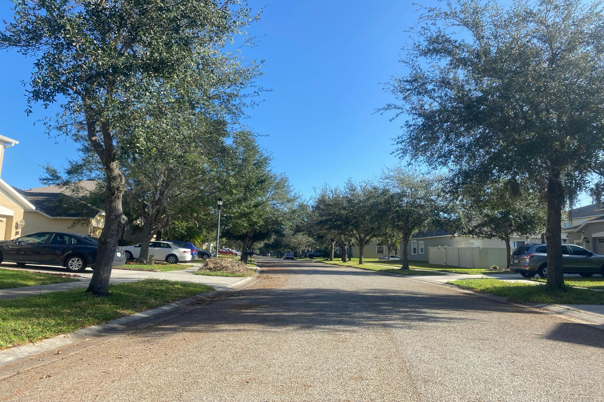 Still Wind Dr, Tampa, FL 33647