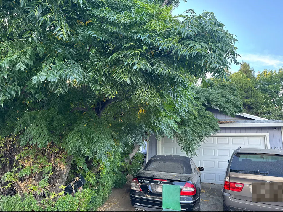 1253 Alderwood Way Vacaville, CA 95687, Solano County