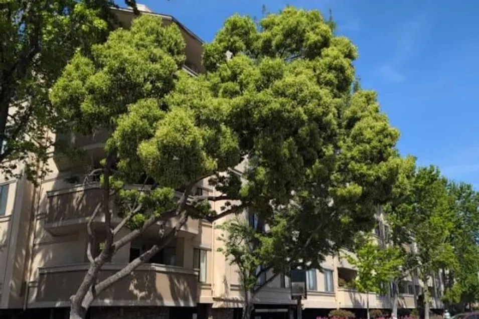 1400 Carpentier Street #101 San Leandro, CA 94577, Alameda County