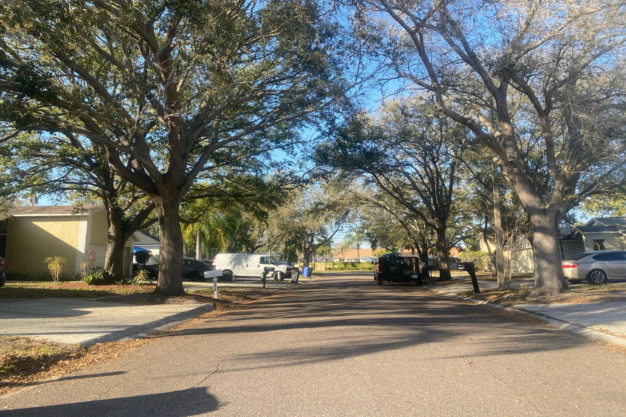 Mohrlake Dr, Brandon, FL 33511