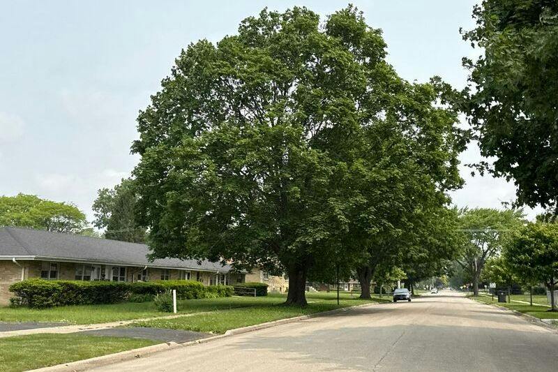 Gabriel Ave, Zion, IL 60099 #1