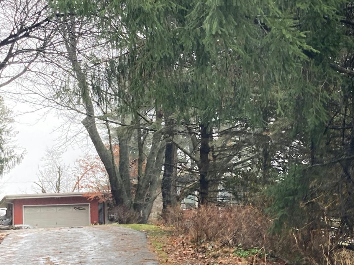 Plane Hill Rd, Washington, NJ 07882 #1