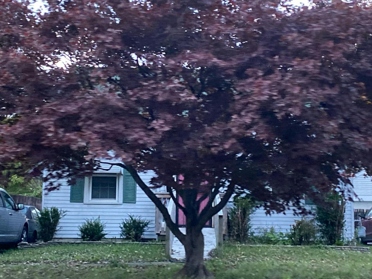Berry Blvd, Louisville, KY 40215