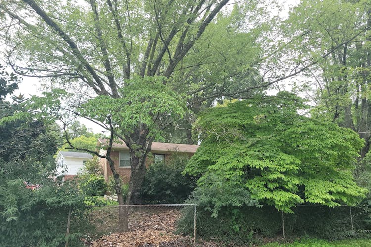 4201 Whippoorwill Drive Greensboro, NC 27407, Guilford County