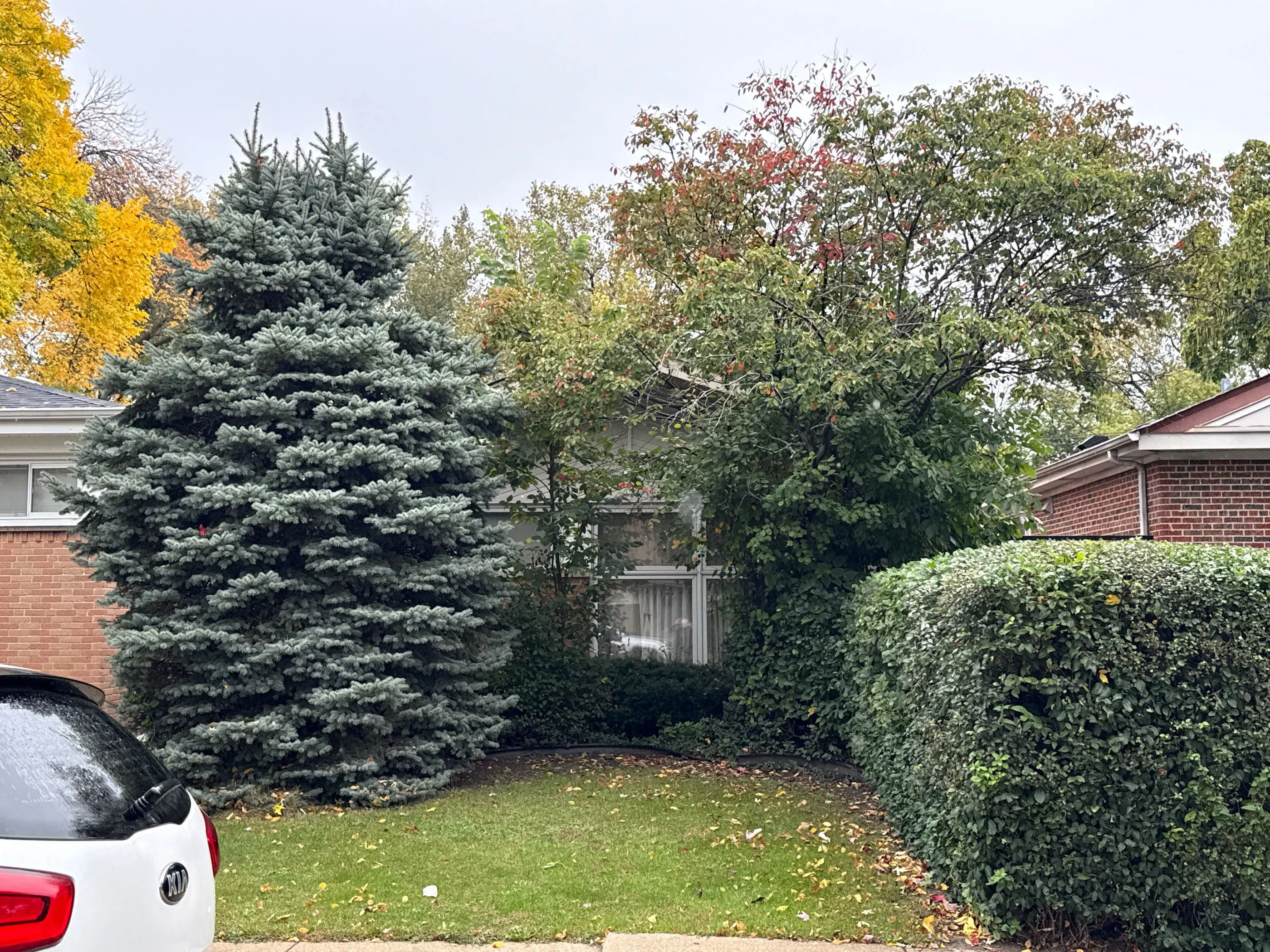 Jersey Ave, Chicago, IL 60659