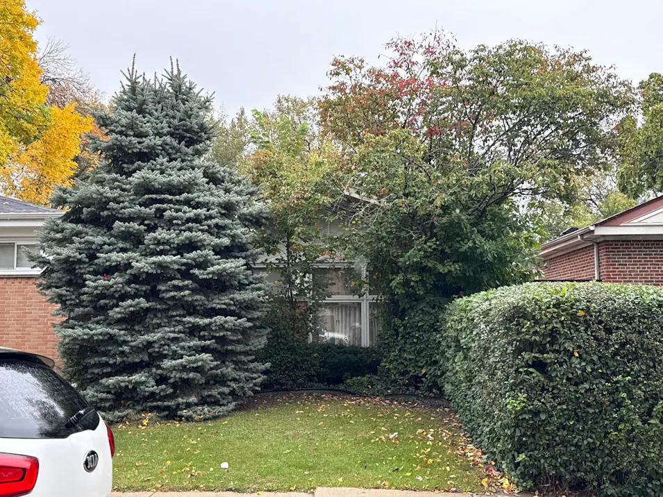 5751 North Jersey Ave Chicago, IL 60659, Cook County