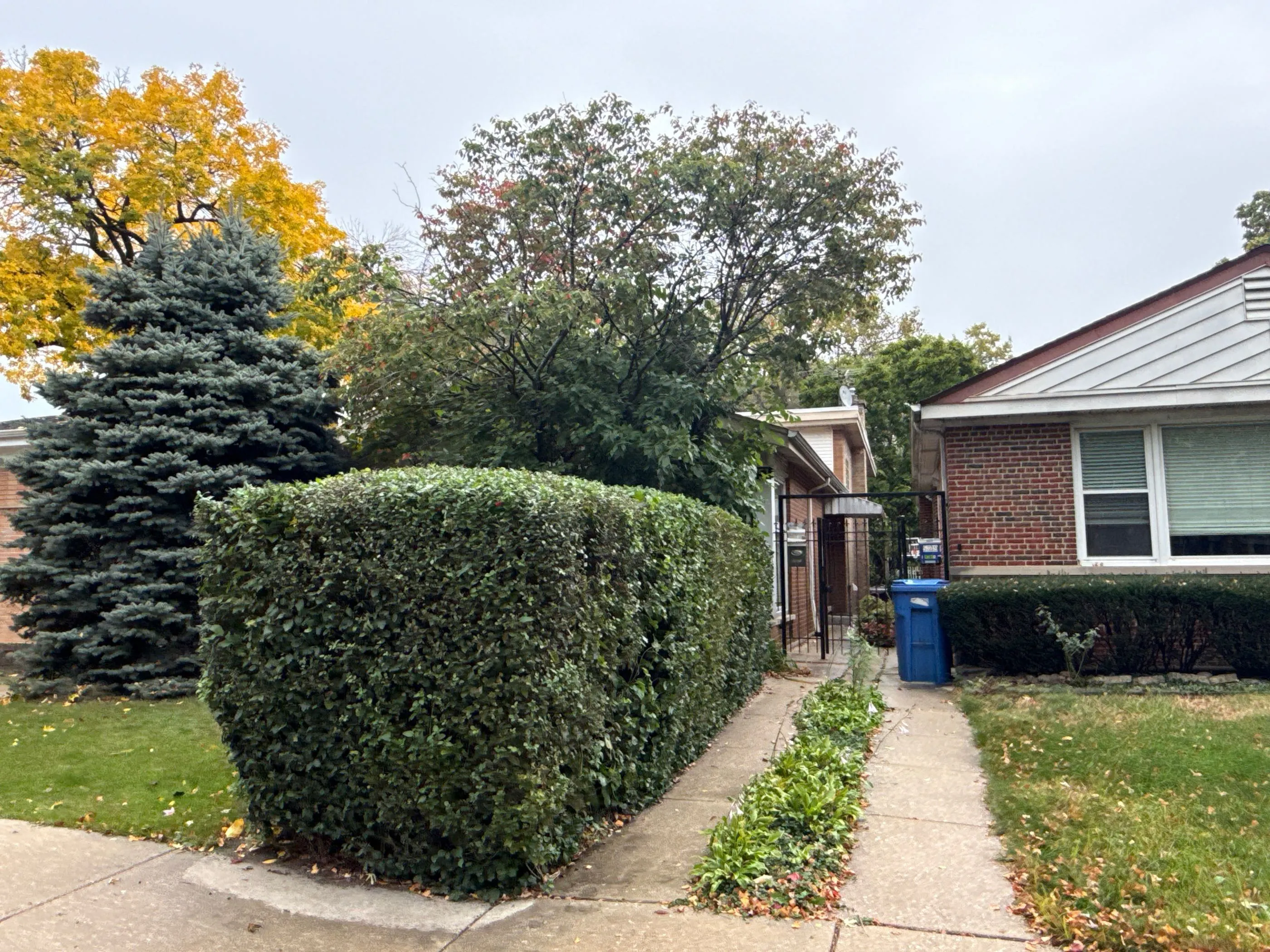 Jersey Ave, Chicago, IL 60659 #1