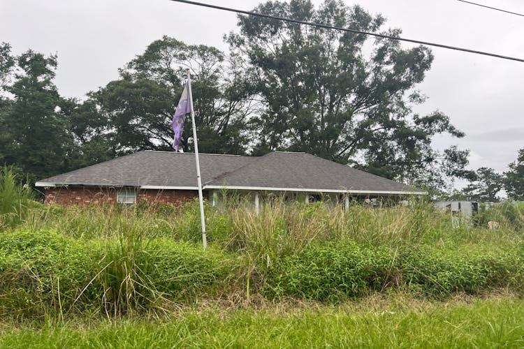 10407 J and P Parker Ln, Tickfaw, LA, 70466, USA