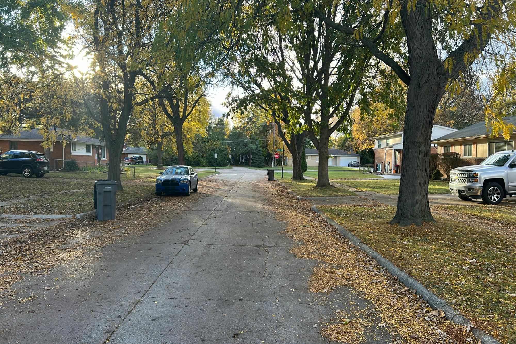 Coventry St, Clinton Township, MI 48035