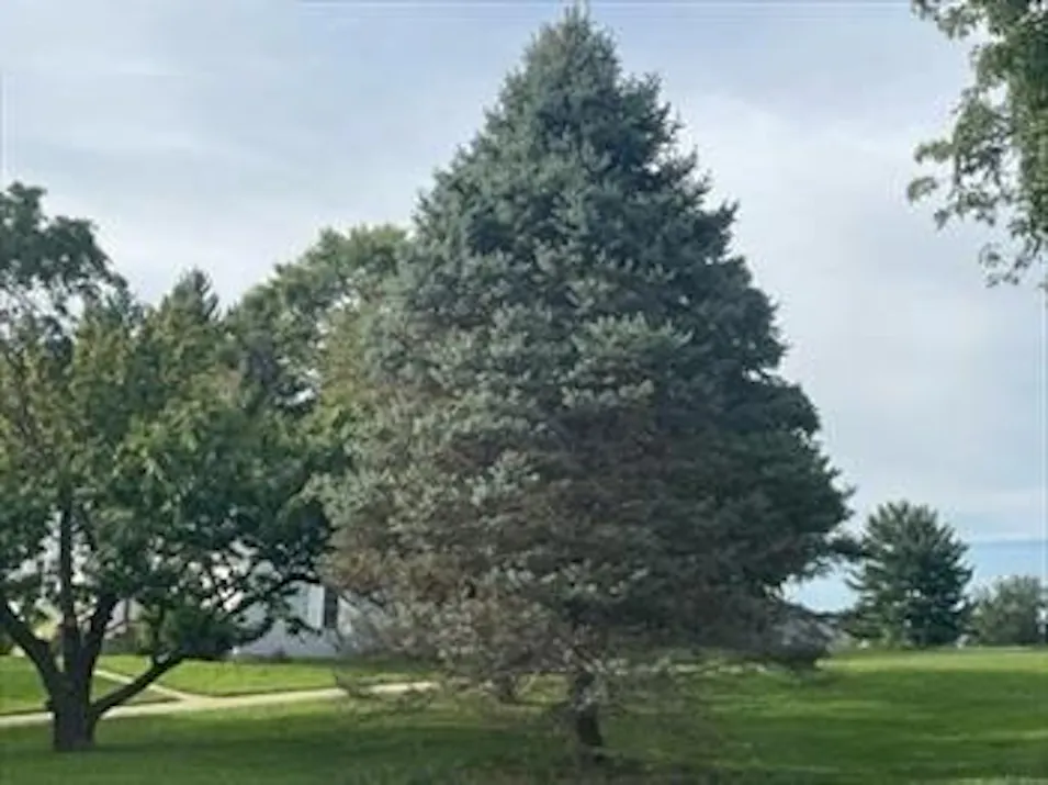 1227 Teson Rd Hazelwood, MO 63042, St. Louis County