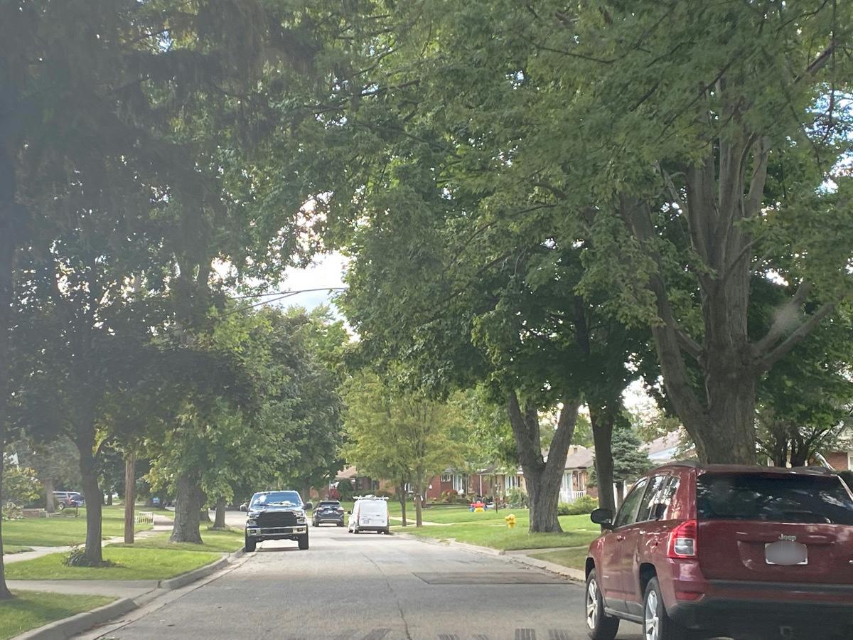 Esplanade St, Mount Clemens, MI 48043