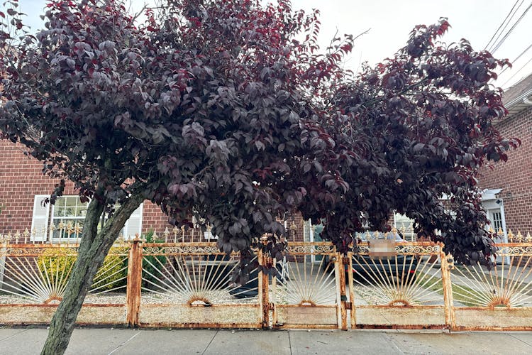 147 Beach 60th Street Arverne, NY 11692, Queens County