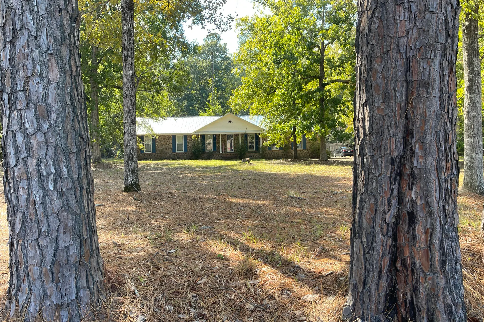 State Highway 41-51 , Hemingway, SC 29554 #1