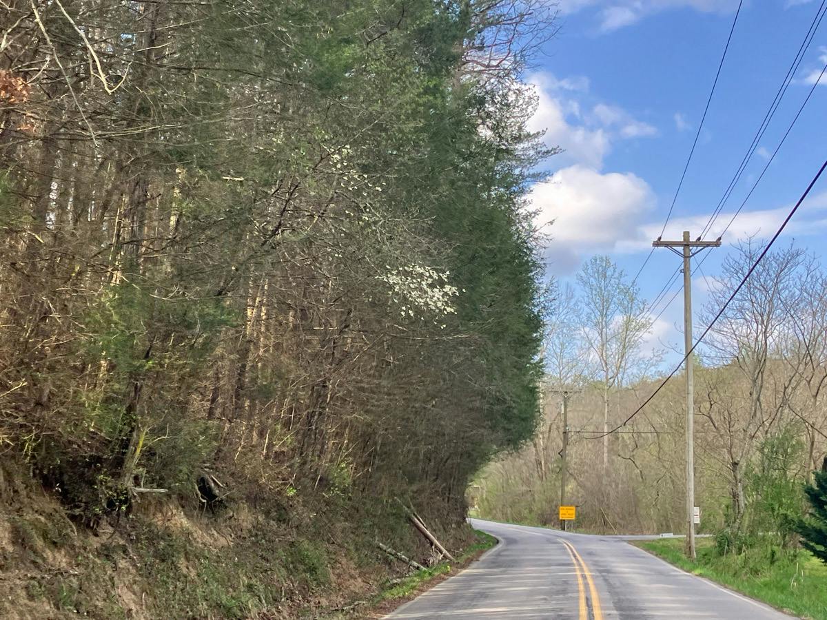 Laurel Valley Rd, Townsend, TN 37882