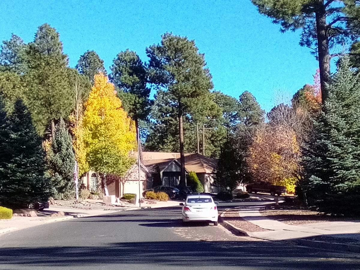 Highland Mesa Rd, Flagstaff, AZ 86001
