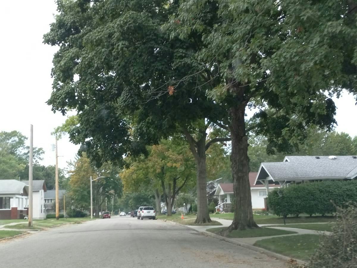 Snyder St, Montpelier, OH 43543
