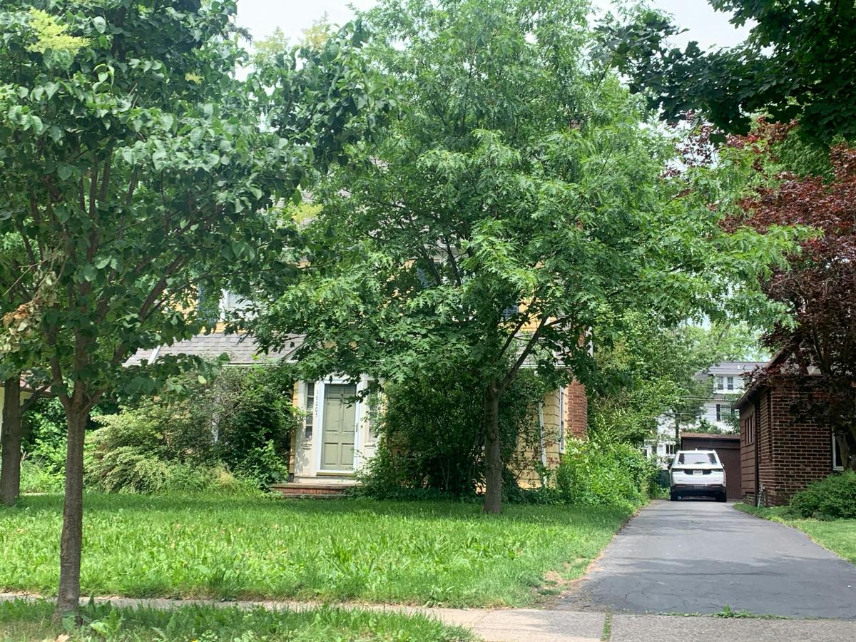 Fernway Rd, Cleveland, OH 44120 #1