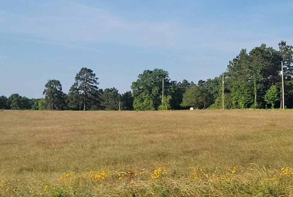 Liberty Church Rd, Coushatta, LA 71019