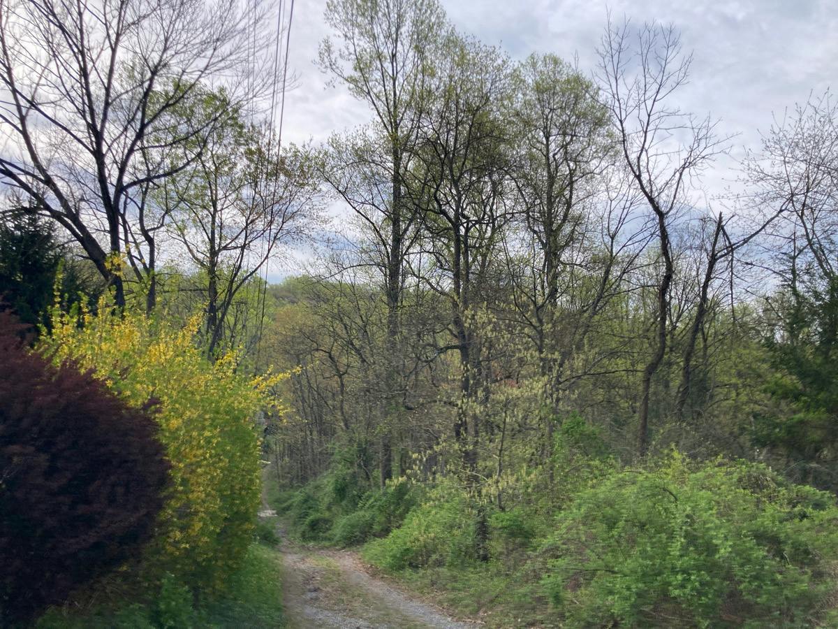 Harmony Brass Castle Rd, Phillipsburg, NJ 08865 #1