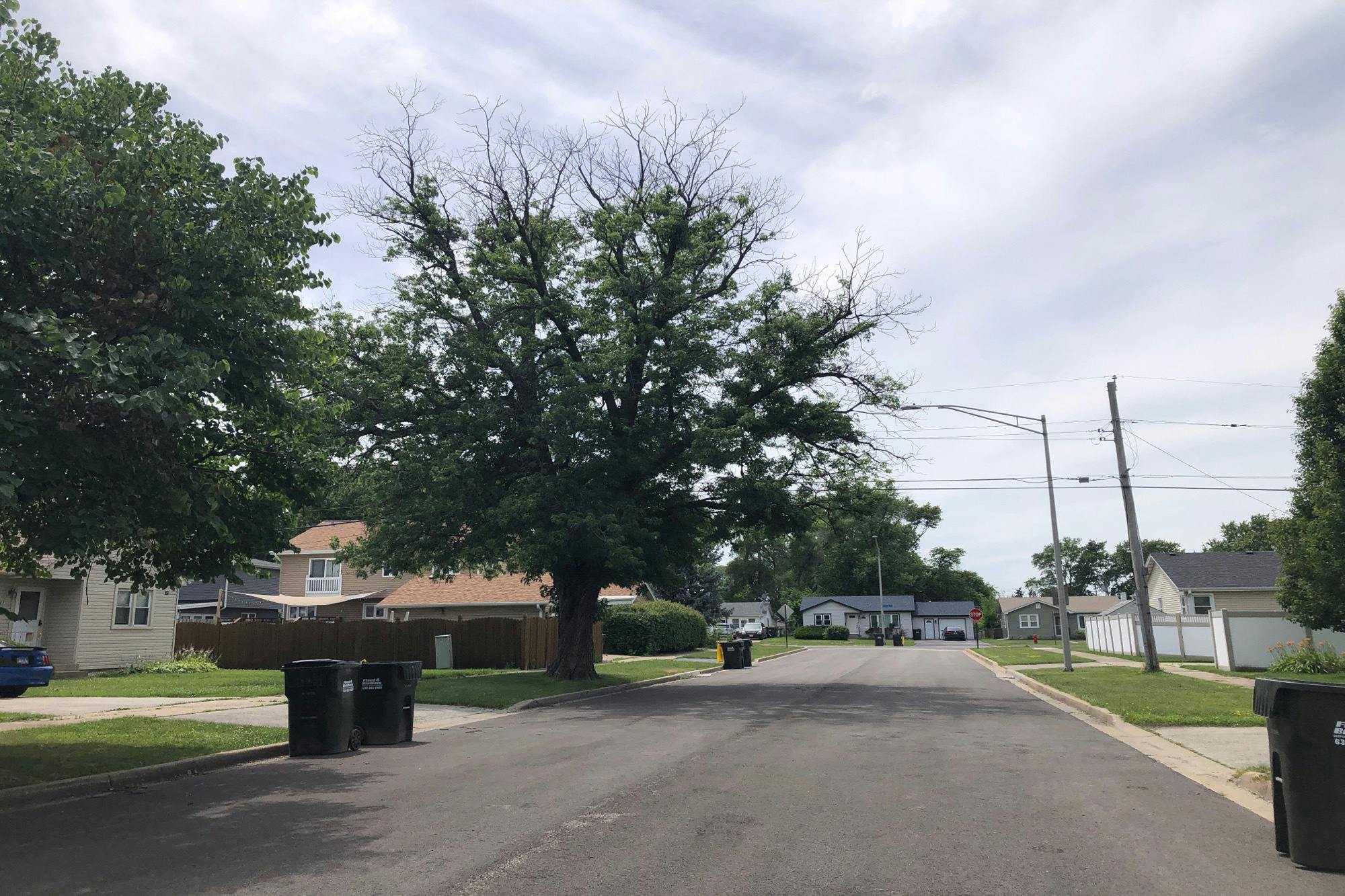 104th Pl, Chicago Ridge, IL 60415