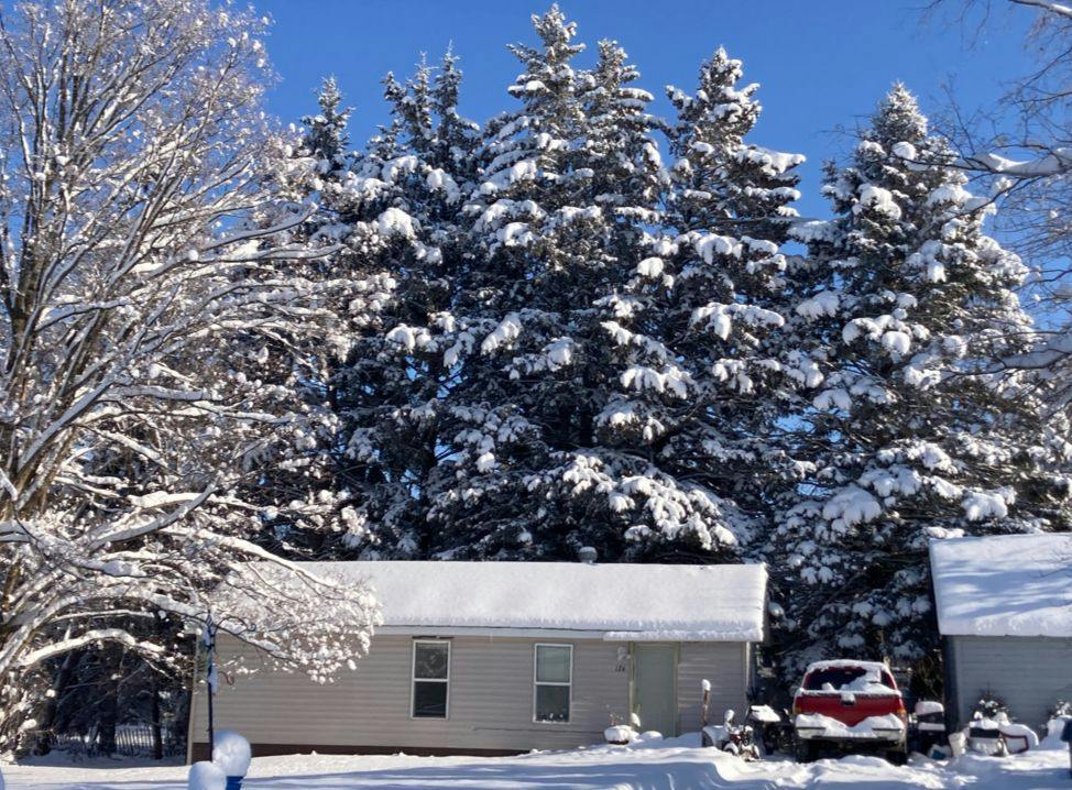 Mcdougal Ave, Bagley, MN 56621 #1
