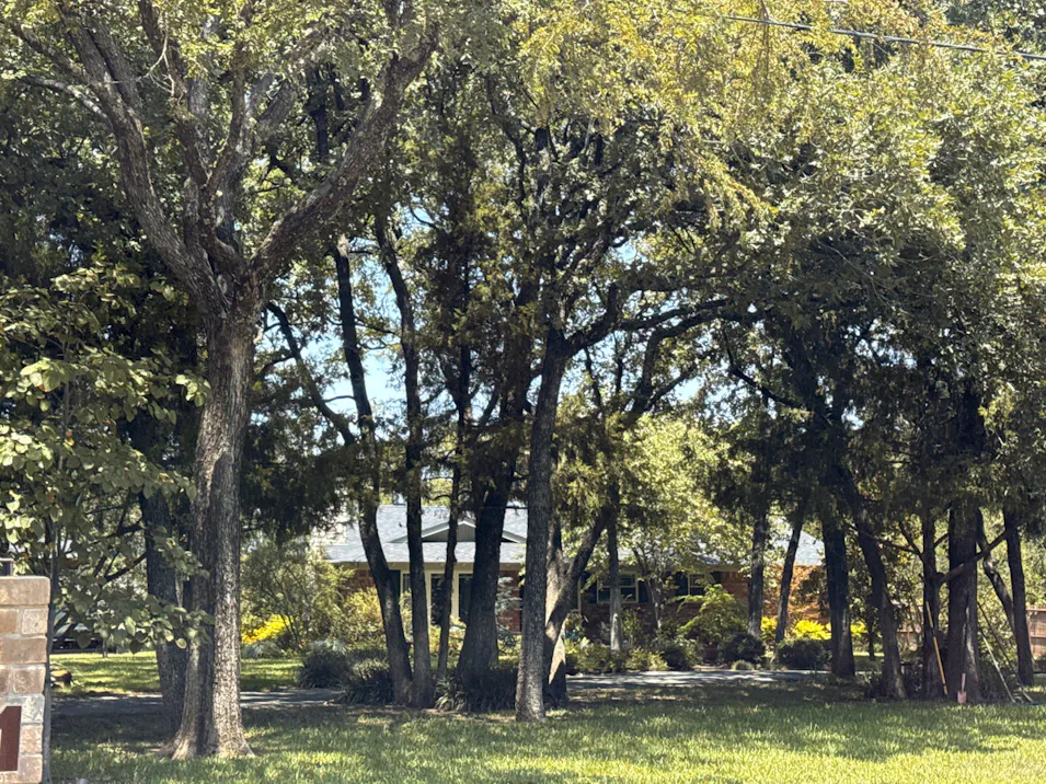 3621 Sunset Lane Arlington, TX 76016, Tarrant County