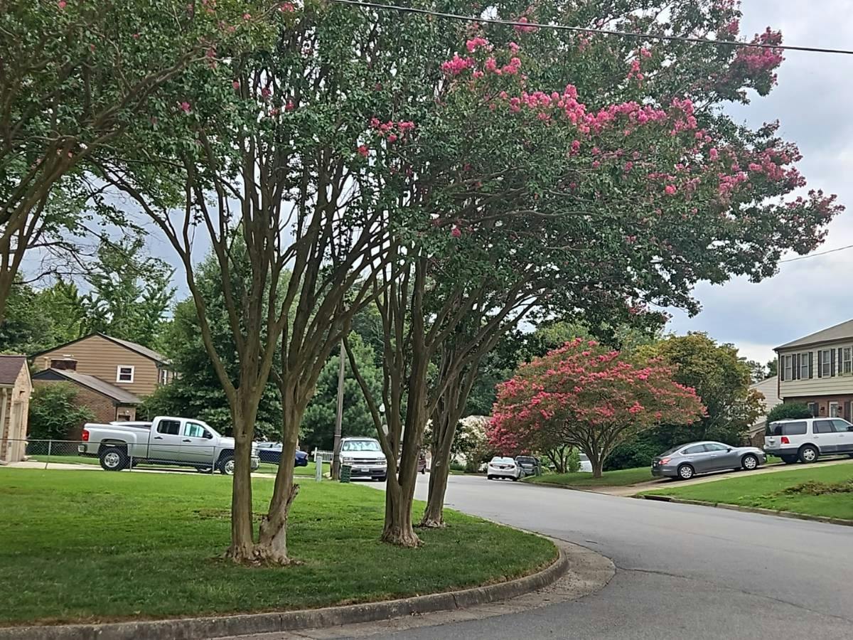 Lipton Dr, Newport News, VA 23608