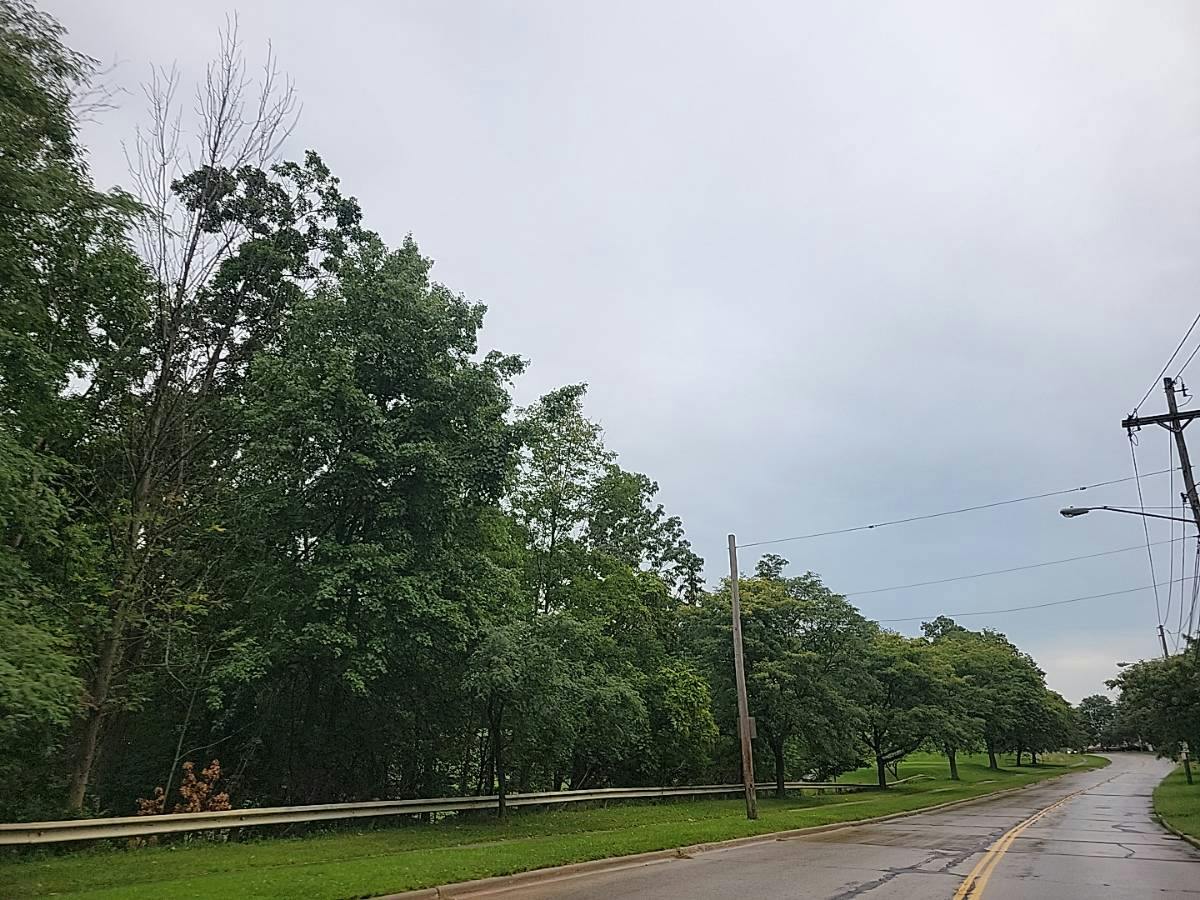 54th St, Cleveland, OH 44129 #1