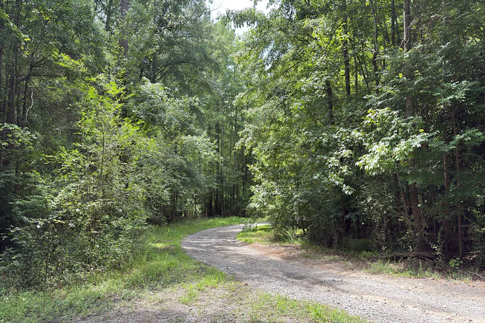 16402 Scottwood Road Midlothian, VA 23112, Chesterfield County
