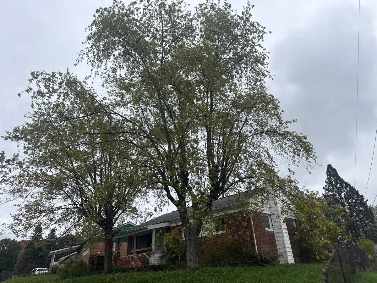 Regentview St, Canton, OH 44705 #1