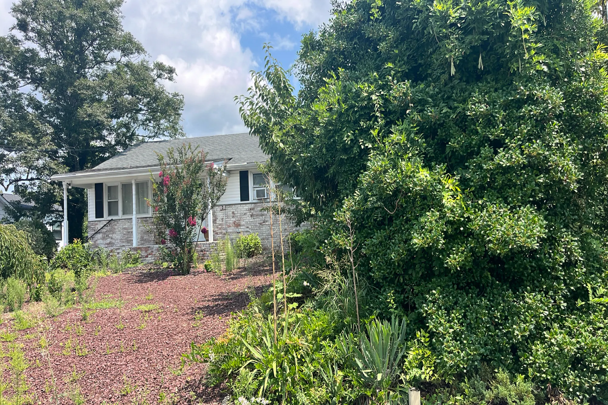 Cedar Tree Ln, Toms River, NJ 08753 #1